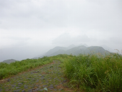 Landscape nature grass horizon Photo