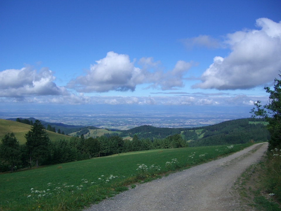 Landscape nature grass horizon