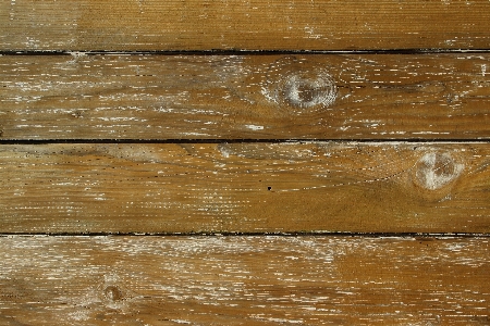 Structure wood grain texture Photo