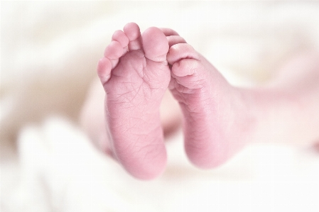 Hand petal feet leg Photo