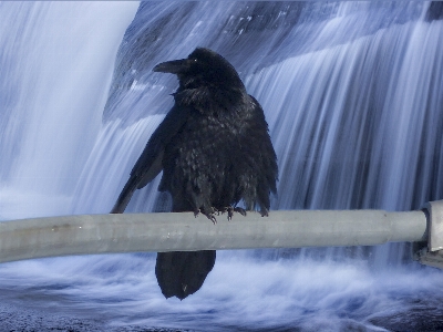 Foto Acqua natura cascata inverno