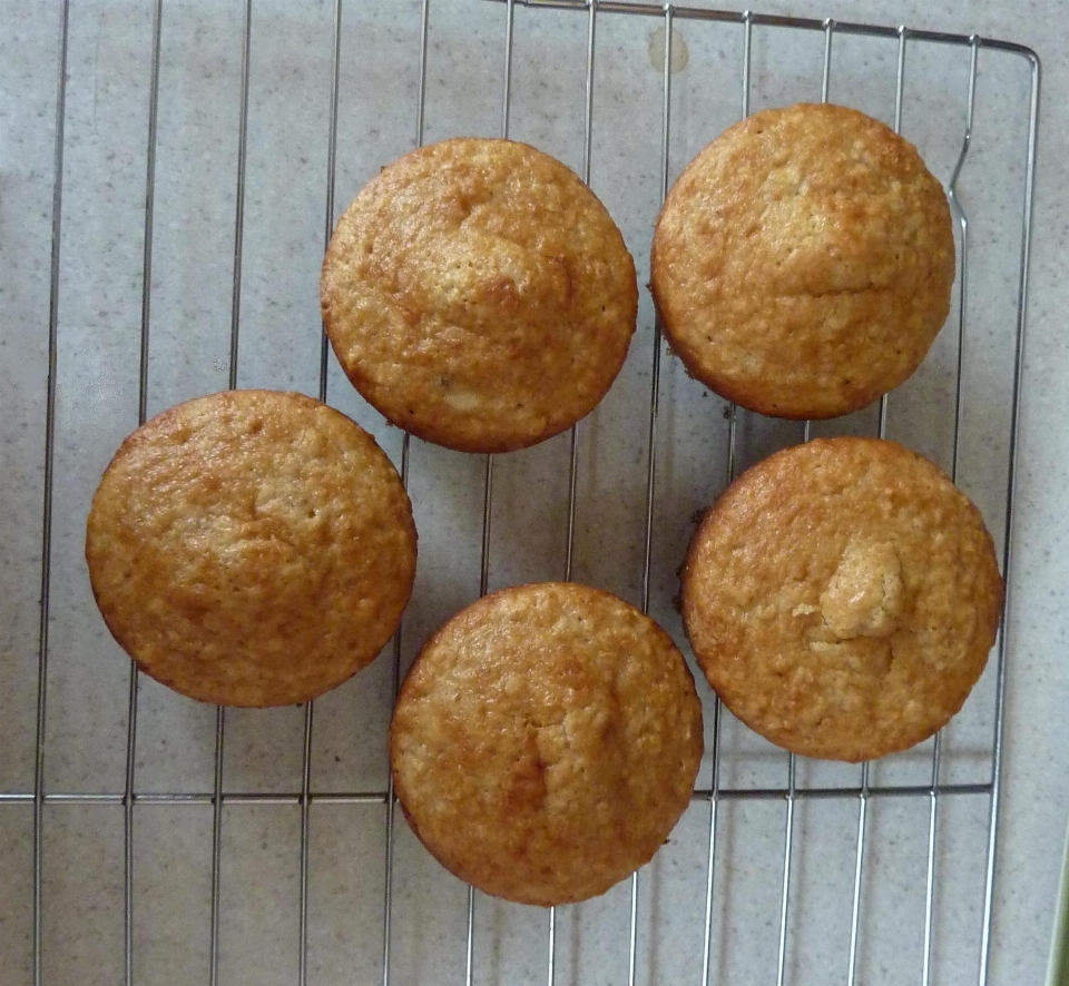 Heim gericht mahlzeit essen