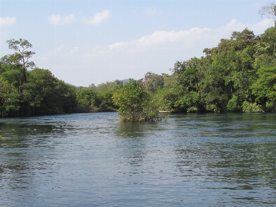 Foto Paisagem árvore água natureza