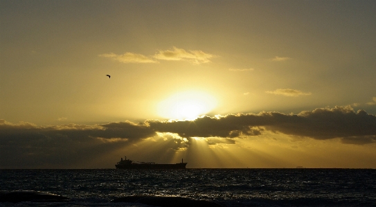 Beach sea coast ocean Photo