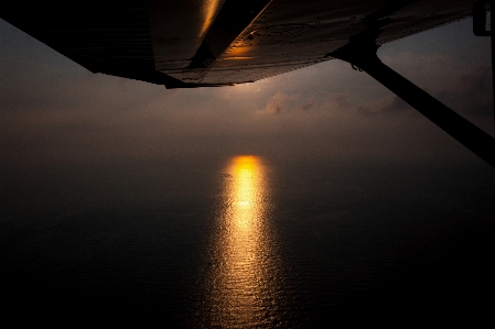 Sea water horizon wing Photo