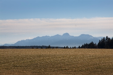 Landscape nature forest horizon Photo