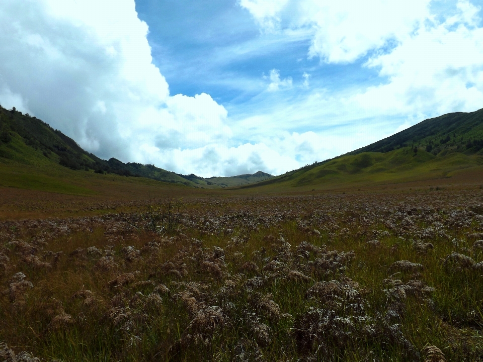 Landscape nature grass horizon