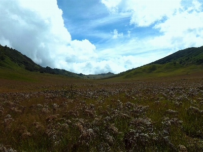 Landscape nature grass horizon Photo