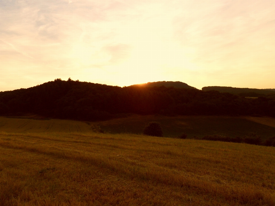 Landscape nature forest horizon