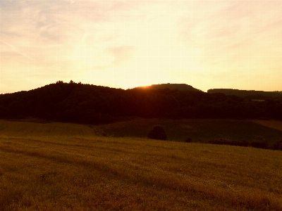 Foto Paisagem natureza floresta horizonte