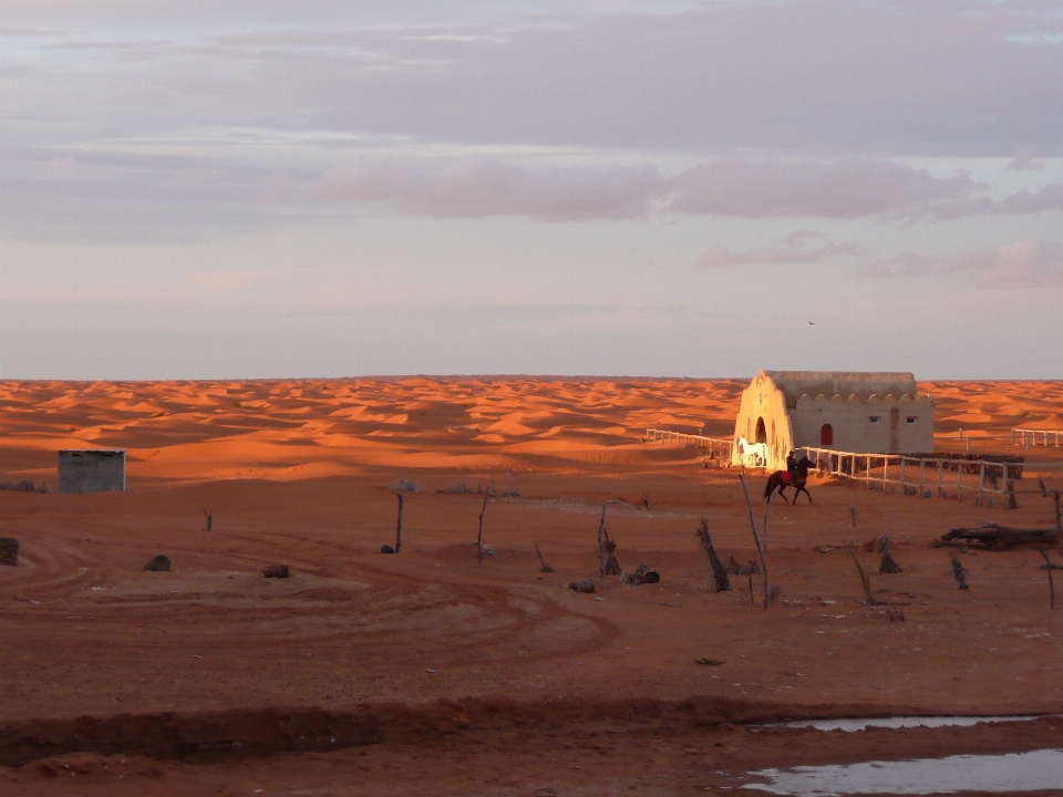 Landschaft sand horizont sonne