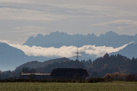 Landscape nature forest horizon Photo