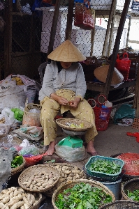 Woman flower city food Photo