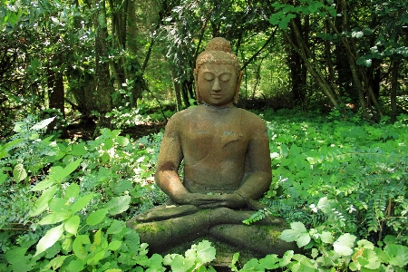 Nature forest stone monument Photo