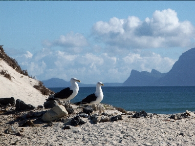 Landscape sea coast water Photo