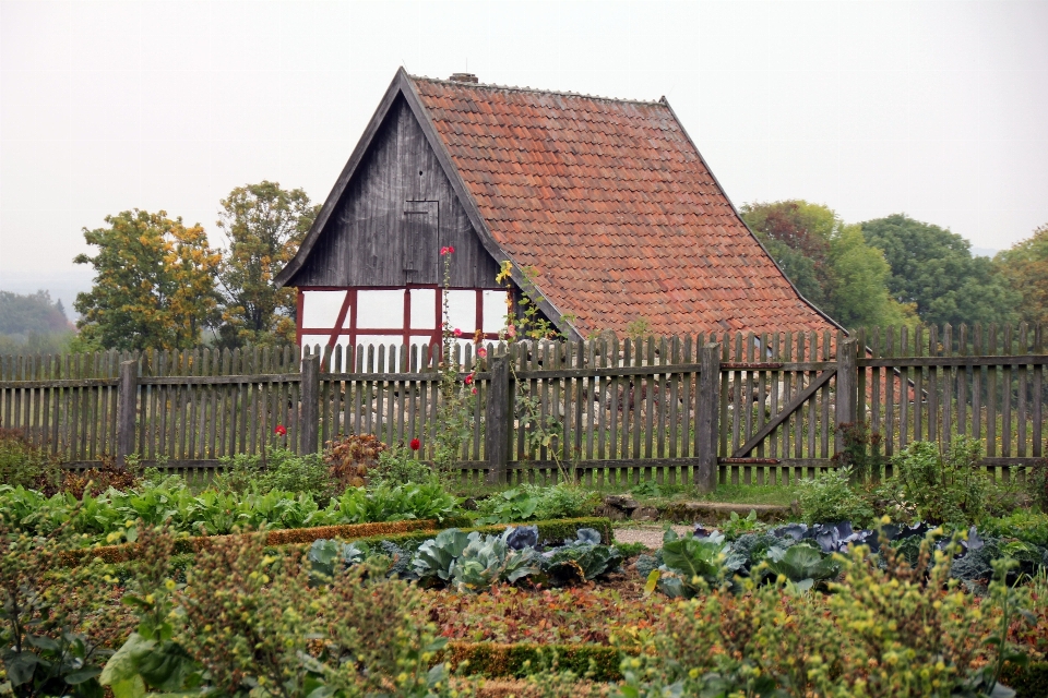 Recinzione azienda agricola casa tetto