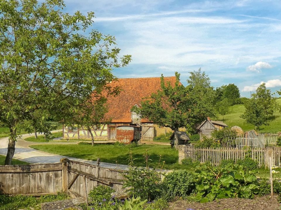 Landschaft baum natur himmel