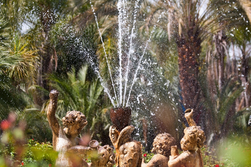 Baum wasser wald sommer