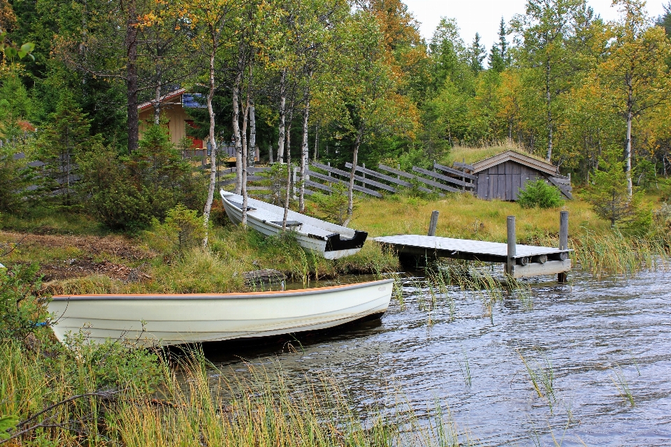 вода природа лес dock