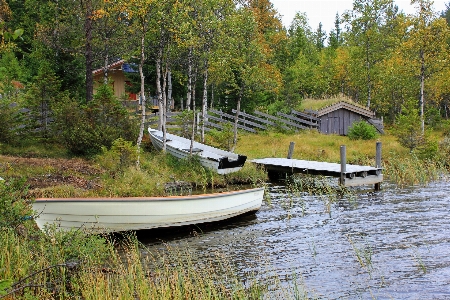 Foto água natureza floresta dock