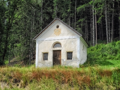 Nature forest architecture countryside Photo