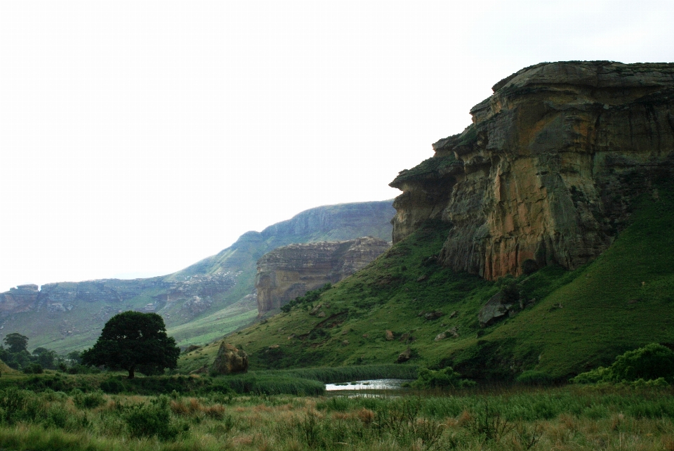 Paysage arbre rock montagne