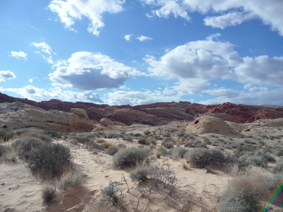 Landschaft draussen sand wildnis
