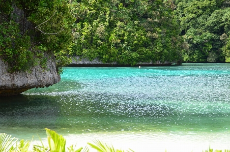 Sea coast nature outdoor Photo