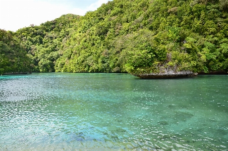 Foto Mar costa natureza ar livre