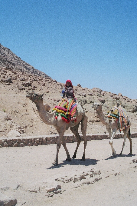 Landscape sand desert boy