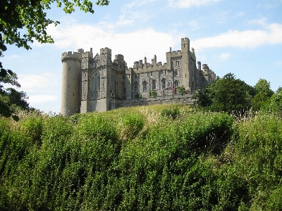 Tree mansion building chateau Photo