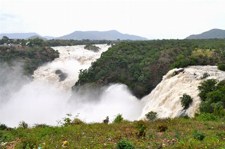 Coast water nature waterfall Photo