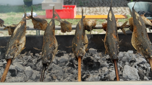 Foto Kayu makanan api ikan