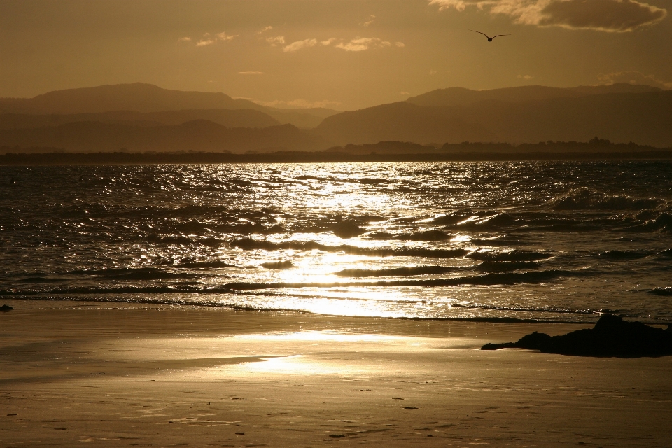 Beach sea coast water