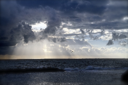 Beach sea coast ocean Photo