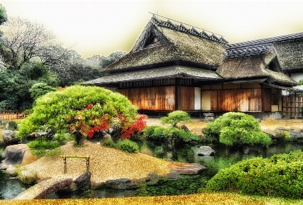 風景 水 芝生 邸宅
 写真