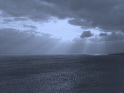 Beach sea coast sand Photo