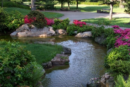 Landscape water lawn flower Photo