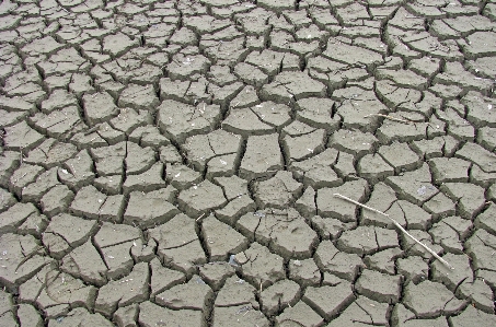 Beach sea floor cobblestone Photo