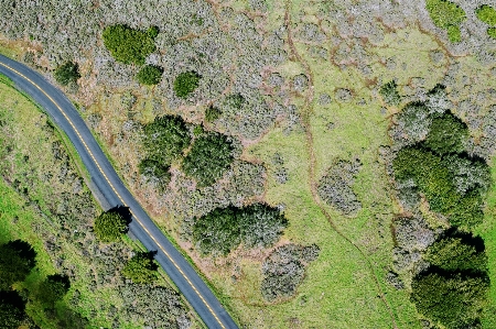 Grass road soil route Photo