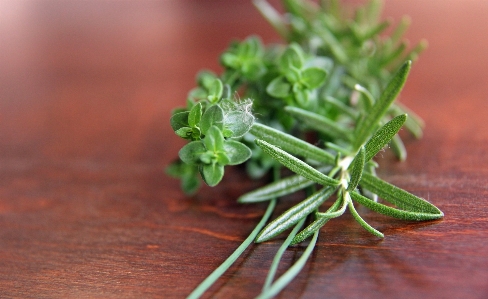 Foto Plantar culinária erva sabor
