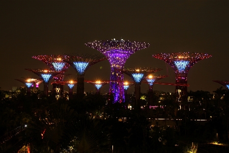 Foto Pohon kreatif lampu langit