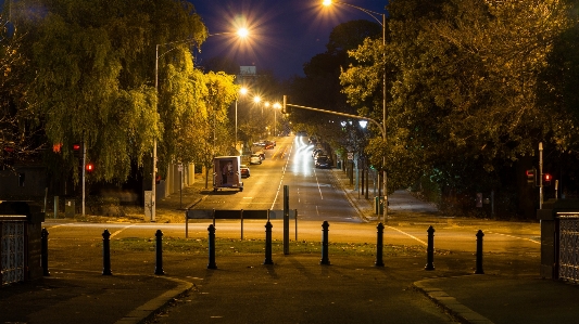 Tree light sunset road Photo