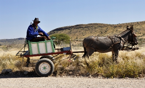 Landscape wagon cart vehicle Photo