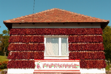 Foto Atap bangunan rumah merah