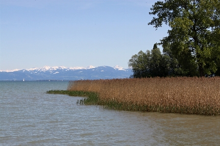 Landscape water nature forest Photo