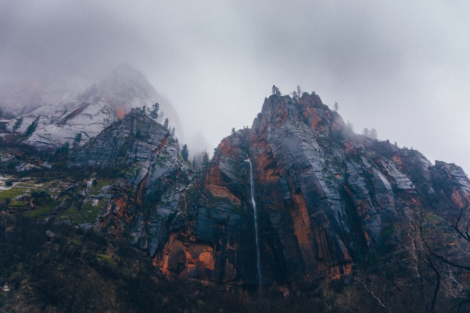 景观 树 自然 rock