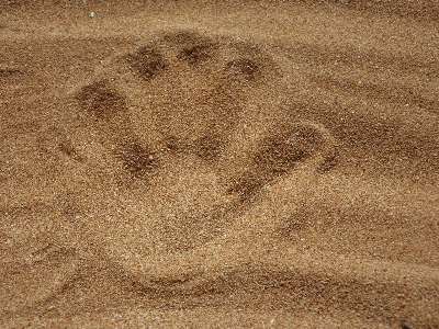 Hand beach sand wood Photo