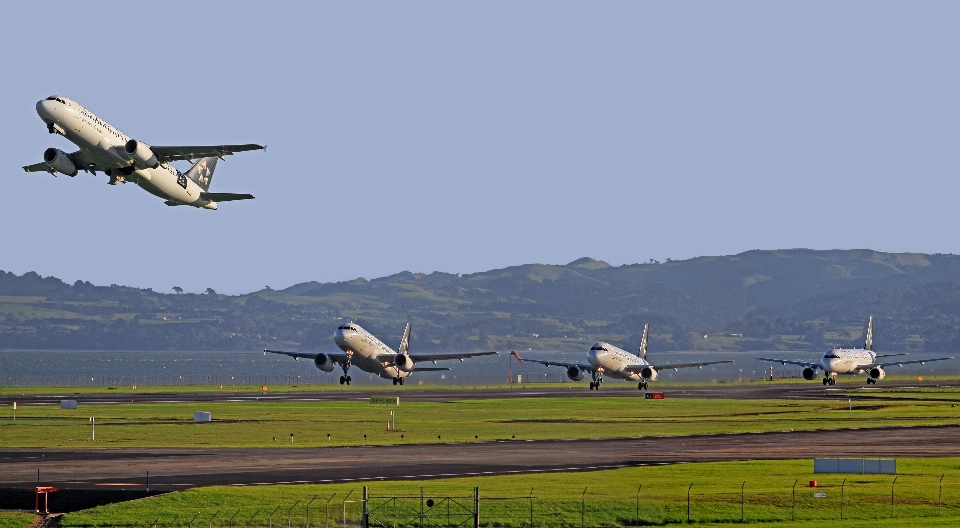 Ala aeroporto aereo veicolo