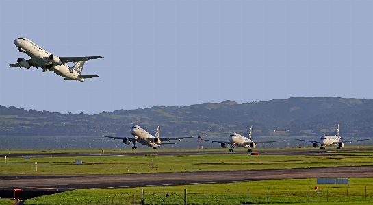 Wing airport airplane aircraft Photo